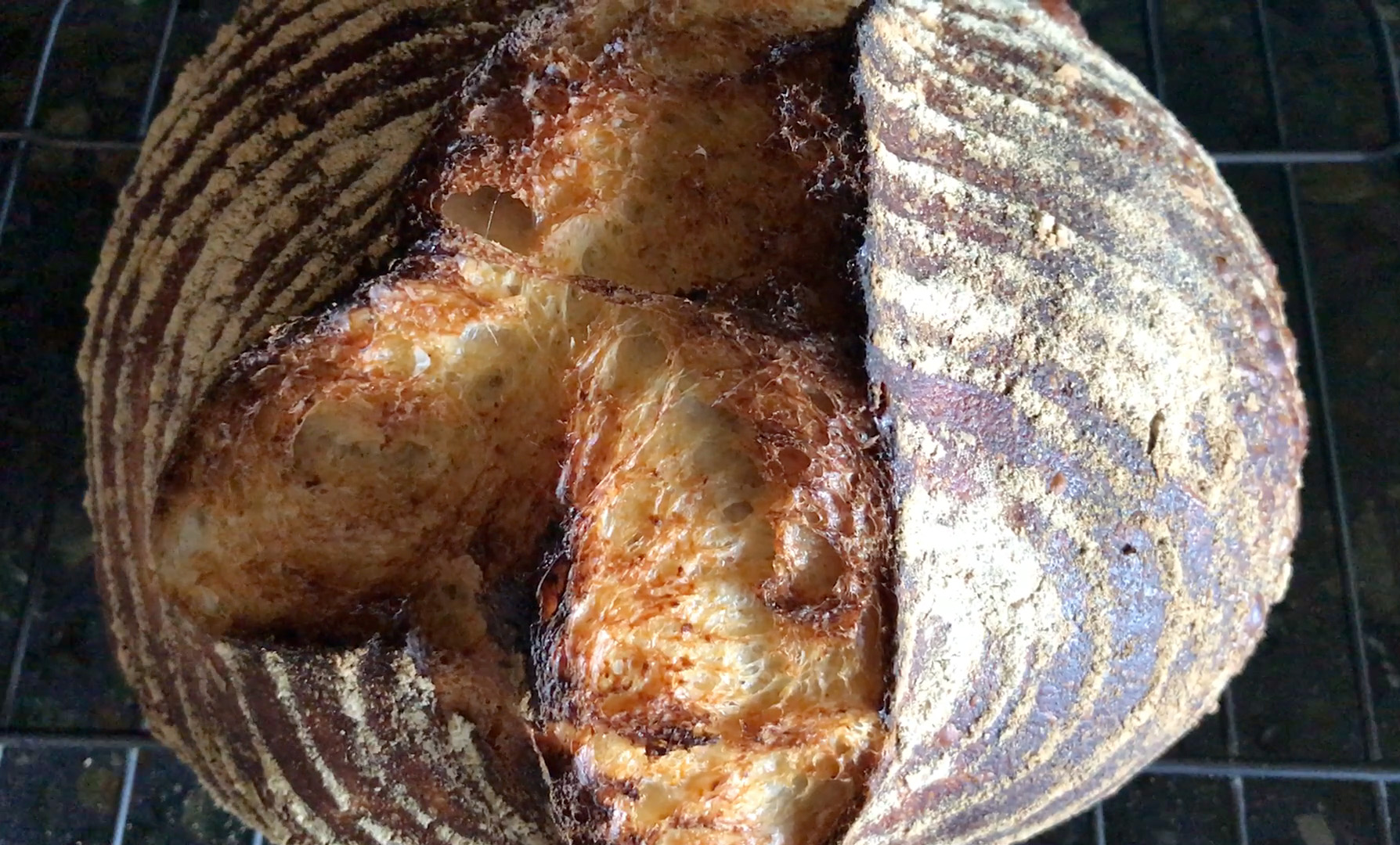 Baking Bread Part 1: Creating a Sourdough Starter feature image